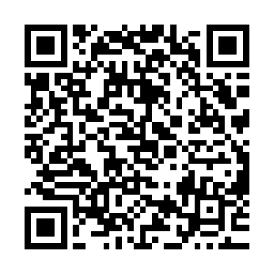 目光在触及她因为羞恼染上了红晕而愈加妩媚动人的容颜之时二维码生成