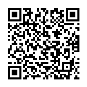 目光带着几分威胁之意扫视了眼那些观战的圣皇强者二维码生成