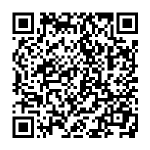 目光平静的看着把自己围在中央的四名年纪比自己还要大上一些的学生二维码生成