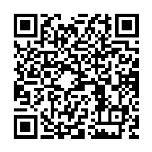目光惊喜的看着元贵妃那玫红色的蹙金牡丹彩碟戏花罗裙的一角二维码生成