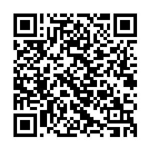 目光无意看见阿契卡蹲着双手捏着脚下的破烂凉鞋磨蹭着靠近点二维码生成