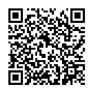 目光是停留在了小女孩脖子处的那颗鬼脸吊坠上面二维码生成