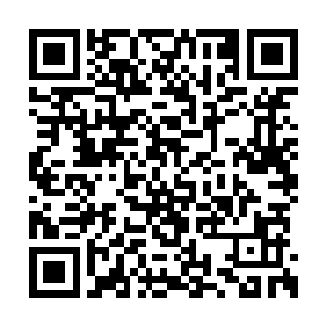 目光有些狐疑夹杂探寻的味道在陆为民脸上逡巡二维码生成