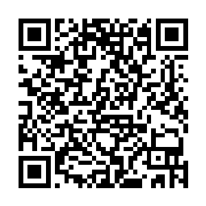 目光森寒的盯着这个面容憨厚却双目阴毒的追影堂黑衣人二维码生成