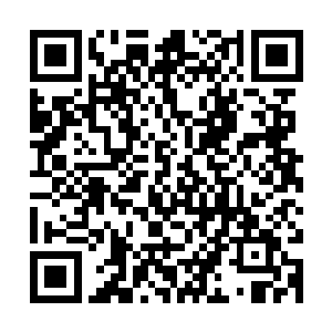 目光注视到台上的袭灭月自然发现不了少女纯真笑容背后的狡黠二维码生成
