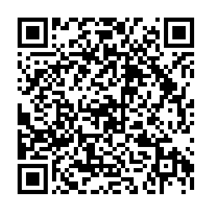 目光淡淡的看向神色僵硬的燕翊和他身侧脸如白纸整个人抖得像个筛子的青元二维码生成