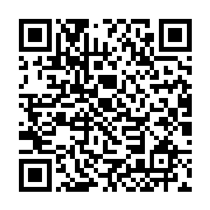 目光直接定格在了香包之中的一根银白色的毫毛上面二维码生成
