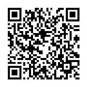 目光瞅见苗毅毫不犹豫端起茶盏喝了这边准备的茶二维码生成