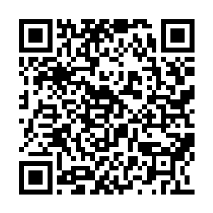 目光突然又落到了桌上的那九十九朵纸折花上面二维码生成