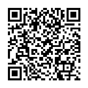 目光落在了依旧放在许紫烟身前台子上的那半株生阳草上二维码生成