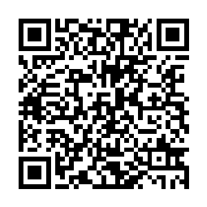 目光迅速地在那位三十来岁的男人身上扫描了一圈二维码生成