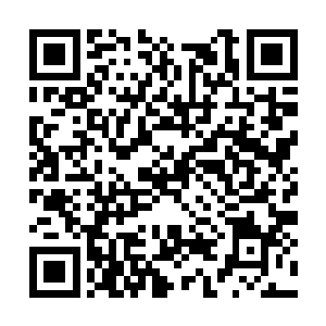 目光闪着垂涎……这可是暗面天道演化出来的灵宝二维码生成