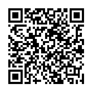 目光顺着盯向城上一个手捧白色镶金角玉玺的青年修士二维码生成