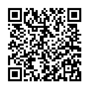 目前你唯一的自救办法就是通过四大家族外门弟子的招收考核二维码生成