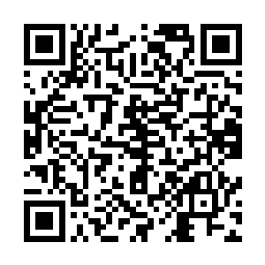 目前华民集团正在向着典型的日韩财团或者说财阀模式发展二维码生成