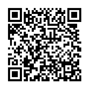 目前却承担着全国范围内的药品相关的指导工作二维码生成