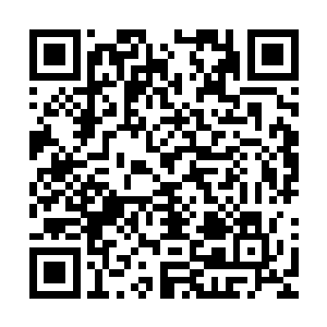 目前唯一得到的线索就是妖族那边的底气似乎还在血河的身上二维码生成