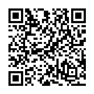 目前我们已经在那三座城市已经展开大规模的排查行动二维码生成