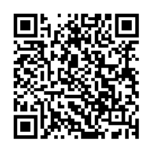 目前我已经在你所属领地里找到了一处隐秘的地方进行植株培育二维码生成