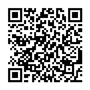 目前生存在达旦市以及周边城市的小贵族们人人自危二维码生成