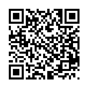 目前的军事职业管理委员会主管刘易斯二维码生成