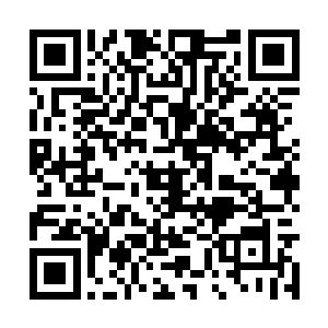 目前的白河谷地加上河滩城甚至是灰烬之塔的势力二维码生成
