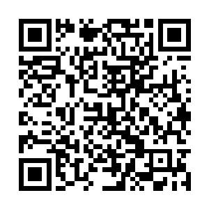 目前身边的两个侍女如今都已经有白莲一品的修为二维码生成