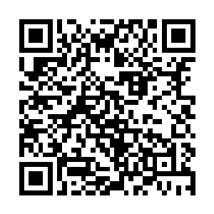 目前还没有切萨雷的艺人出演大梦项目这样的事发生二维码生成