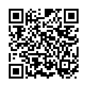 目所能及就是体型惊人的各种奇特植物花枝二维码生成