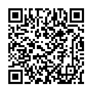 目的定然不仅仅是为了阻止姬问天步入天王至境二维码生成