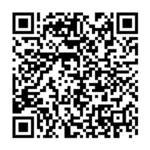 目的就是来拜访红太阳集团董事长陈雨馨和恒丰集团集团未来的掌二维码生成