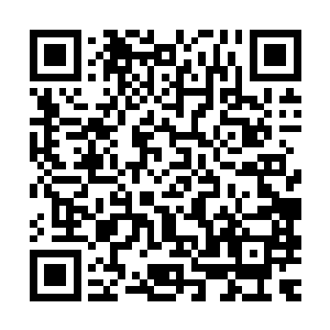 目的就是盯着多西罗亚――那个据说是来自北方某个城邦的贵族二维码生成