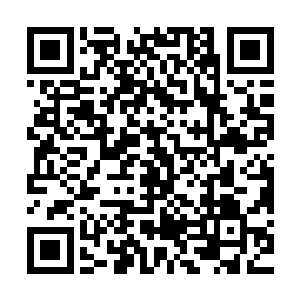 目的无非究竟是为了等待一个人来将他们解救然后带着他们回去二维码生成