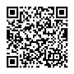 目的是为了提高zhengfu团队的执政效率和办事成效二维码生成