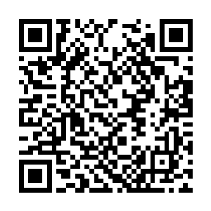 目的自然是想要把大阵中的须弥宗弟子引出来斩杀二维码生成
