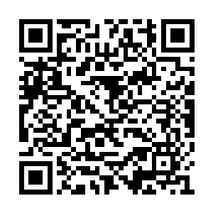 目的都是冲着那个让四族丢进脸的神秘矮人强者二维码生成