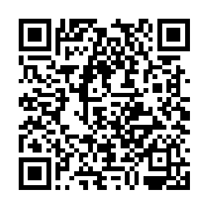 目睹了这一切的鬼天程和二代龙皇眼里充斥着震惊二维码生成