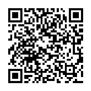 目睹了那一个个消失在恶魔大军屠刀和火焰下的冒险者身影二维码生成