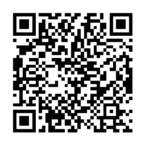 目送方剑雄的专机在四架野马战机的护航下消失在天际二维码生成