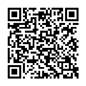 盯着一脸血的目标人问询他和夕纪子是什么关系二维码生成