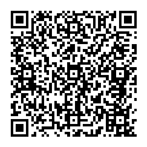 盯着中年男子的面貌剑尘总觉得中年男子给他一种似曾相识的感觉仿佛自己在什么地方见过他二维码生成