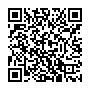 盲僧一溜烟冲从家里冲出来的画面被陈诚看了个真切二维码生成