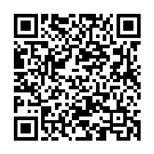 直到一名白发苍苍的老者快步来到了大厅的中央时二维码生成