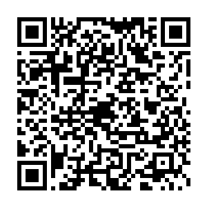 直到他看到站在吴莹莹身边正瞪着圆溜溜的眼睛看向自己的吴婉儿时二维码生成