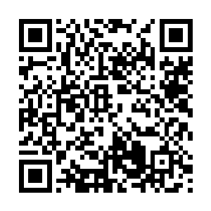 直到伤它的被困人的鲜血布满它全身每个部位才会休止二维码生成