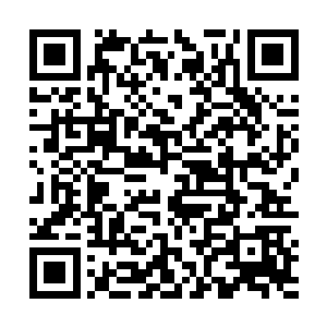 直到其余四艘星舰上的近千万人都被虚空猎手随意杀死二维码生成