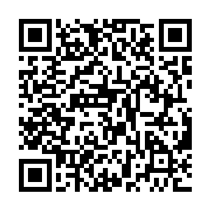 直到凌霄宫那边将他们安排进了新大域的一处乾坤中二维码生成