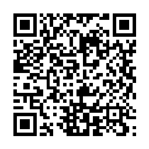 直到几个孩子不得不惋惜的将小吃交给身后的侍卫才道二维码生成