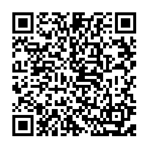 直到几息之后那植物见她没反应突然直接缠裹到她身上她才猛然回过神来二维码生成