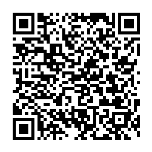 直到半夜才有人从后门将一具丫头的尸体运出去扔到了城外的乱坟岗二维码生成